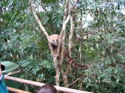 argentinien_originale 291.jpg